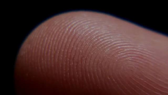 半導(dǎo)體生物指紋頭