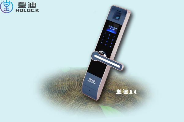 全自動(dòng)智能鎖廠家